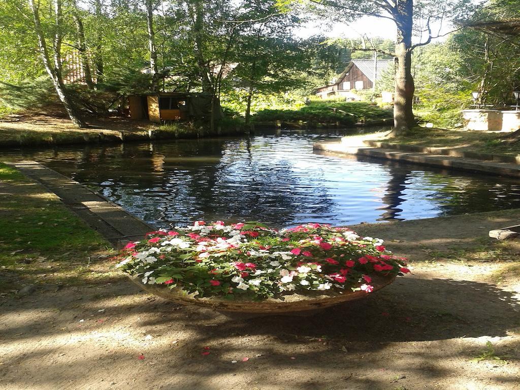 Spreewaldhotel Leipe Lubbenau Bagian luar foto
